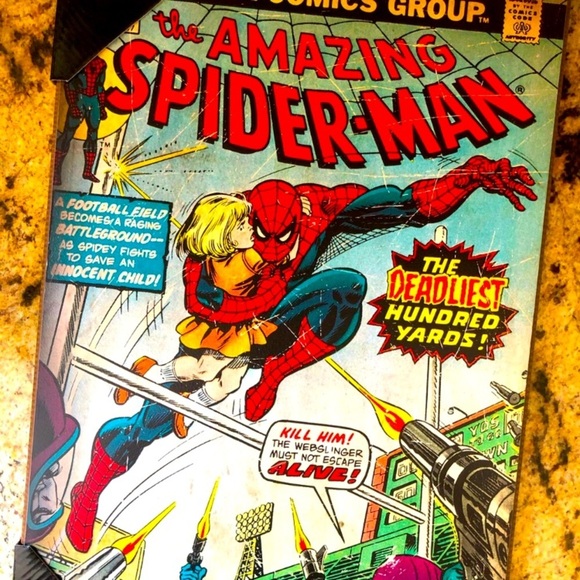 Spider-Man Wall Art - Picture 1 of 1